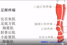 足跟疼痛康复.mp4