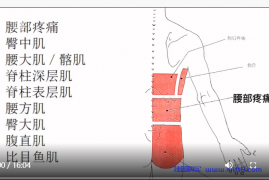 下背部疼痛与康复.mp4