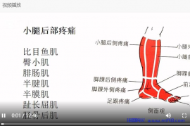 小腿后部疼痛与康复.mp4