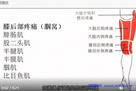 膝后部疼痛康复.mp4