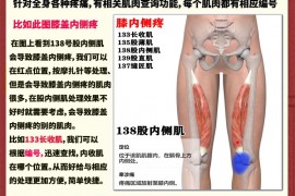 疼痛挂图激痛点三代编号版介绍