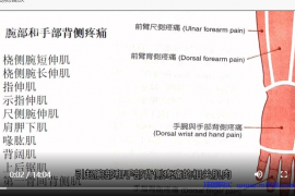 手腕与手部背侧疼痛.mp4