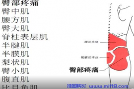 臀部疼痛与康复.mp4