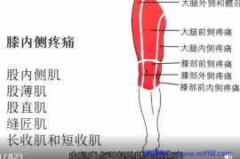 膝内侧疼痛与康复.mp4