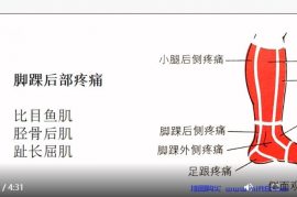 脚踝后侧疼痛康复.mp4