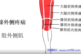 膝外侧疼痛与康复.mp4