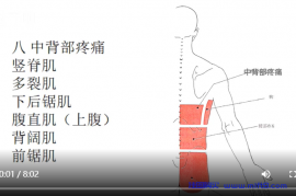 中背部疼痛与康复.mp4