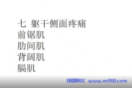 躯干侧面疼痛与康复.mp4