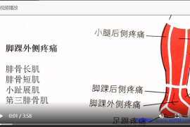 脚踝外侧疼痛康复.mp4