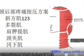 颈后部疼痛评估与康复.mp4